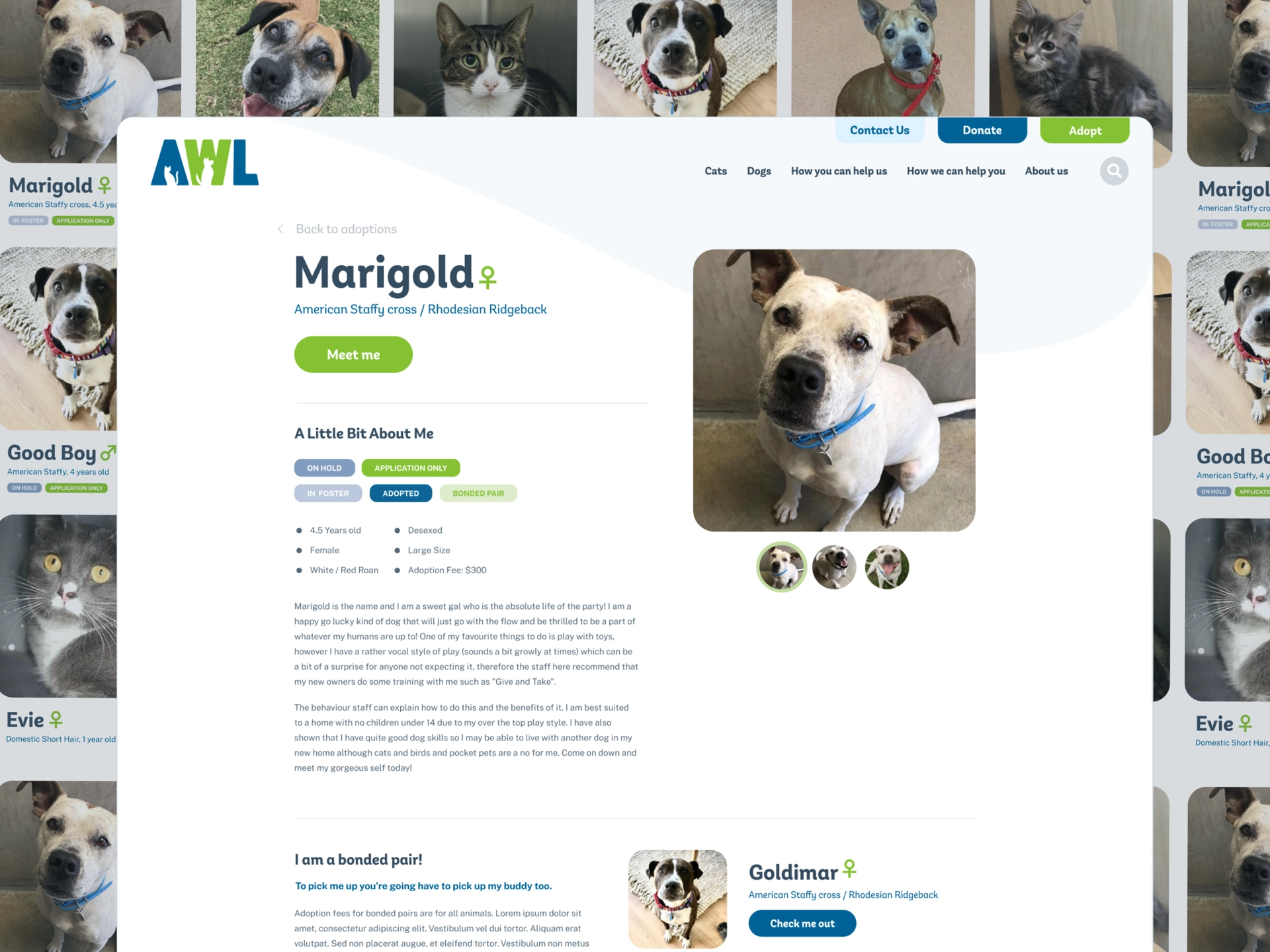 Animal Welfare League 