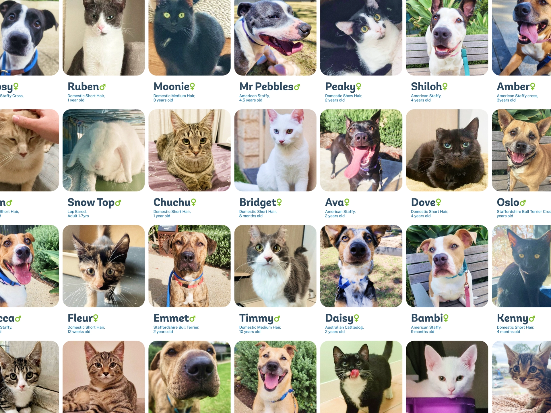 Animal Welfare League 